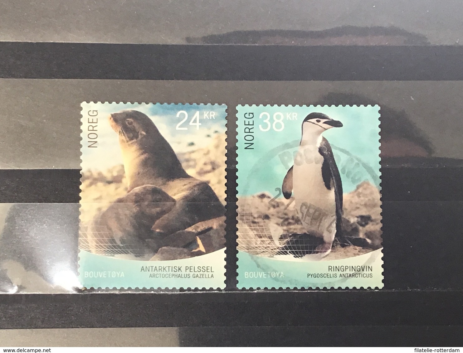 Noorwegen / Norway - Complete Set Fauna Van Bouvet Eiland 2018 - Oblitérés