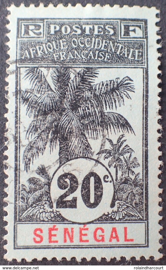 R3536/1207 - 1906 - COLONIES FR. - SENEGAL - N°36 ☉ - CàD - Oblitérés