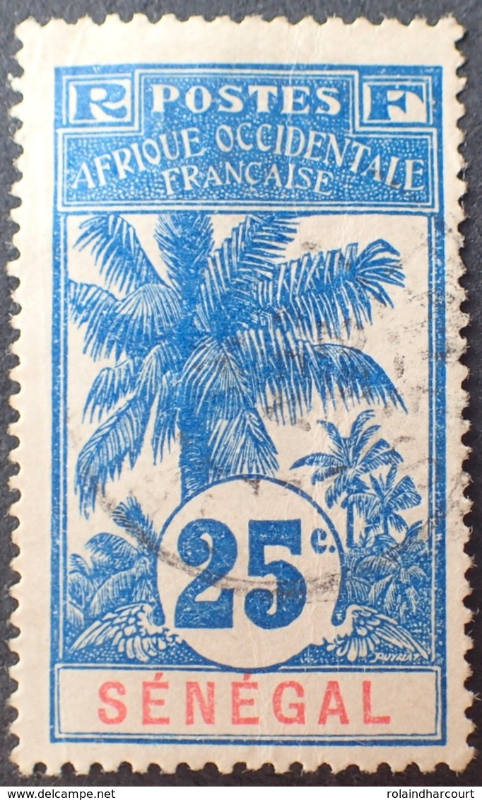 R3536/1208 - 1906 - COLONIES FR. - SENEGAL - N°37 ☉ - CàD - Oblitérés