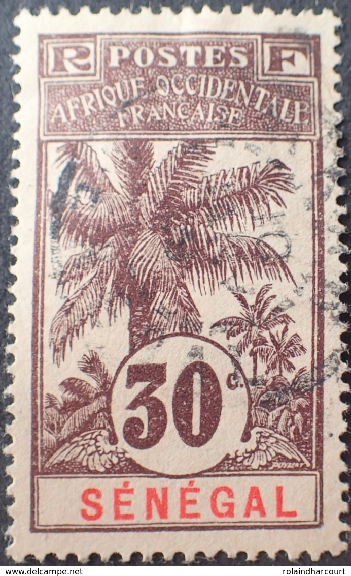 R3536/1209 - 1906 - COLONIES FR. - SENEGAL - N°38 ☉ - CàD - Oblitérés