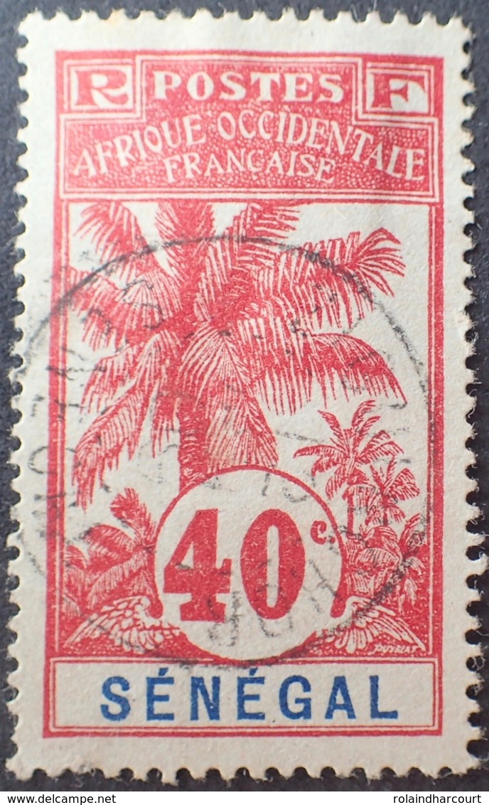 R3536/1211 - 1906 - COLONIES FR. - SENEGAL - N°40 ☉ - CàD - Oblitérés