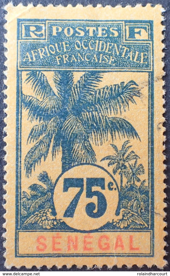 R3536/1214 - 1906 - COLONIES FR. - SENEGAL - N°43 ☉ - CàD - Oblitérés