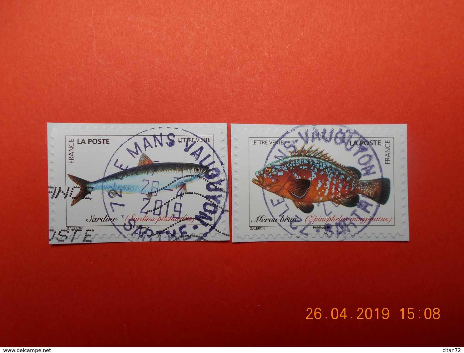 FRANCE 2019  CL068  Du Carnet  POISSONS DE MER   (2 Timbres)   Cachets  Ronds (A Voyagé) - Oblitérés