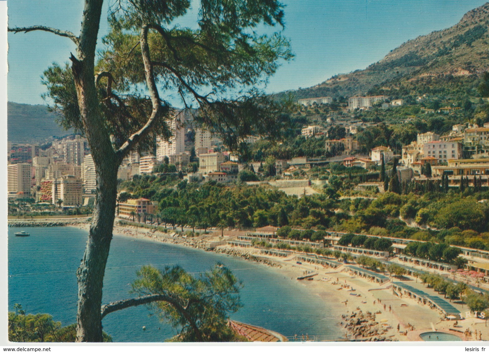 C.P. - PHOTO - MONACO - MONTE CARLO - LA PLAGE DU BEACH - LA CIGOGNE - 99.138.254 - Monte-Carlo