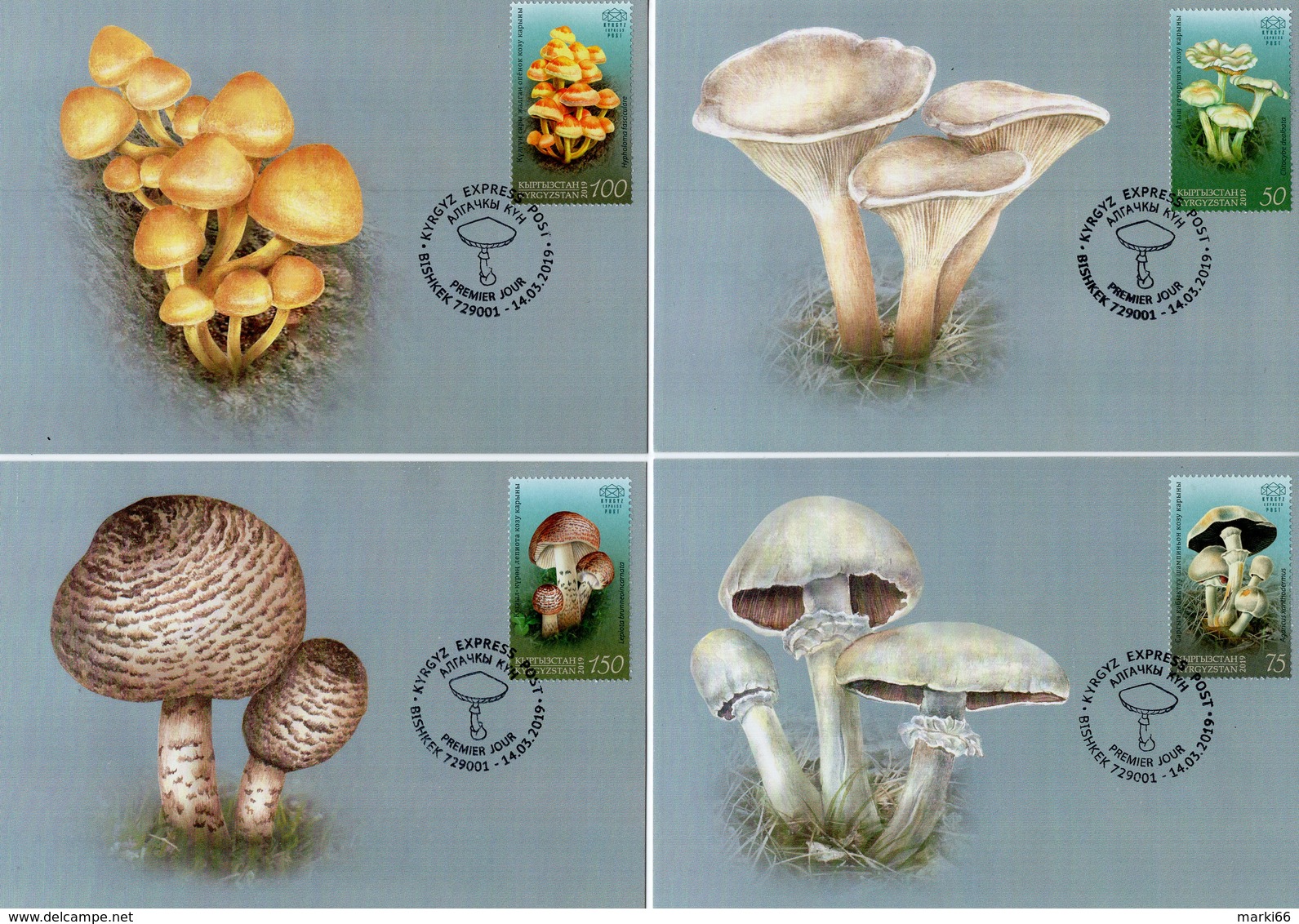 Kyrgyzstan - Express Post - 2019 - Poisonous Mushrooms - Maximum Cards Set - Kirghizstan