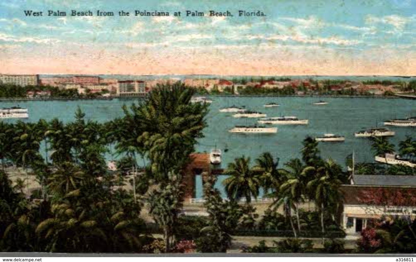 WEST PALM BEACH FROM THE POINCIANA AT PALM BEACH - FLORIDE - Palm Beach