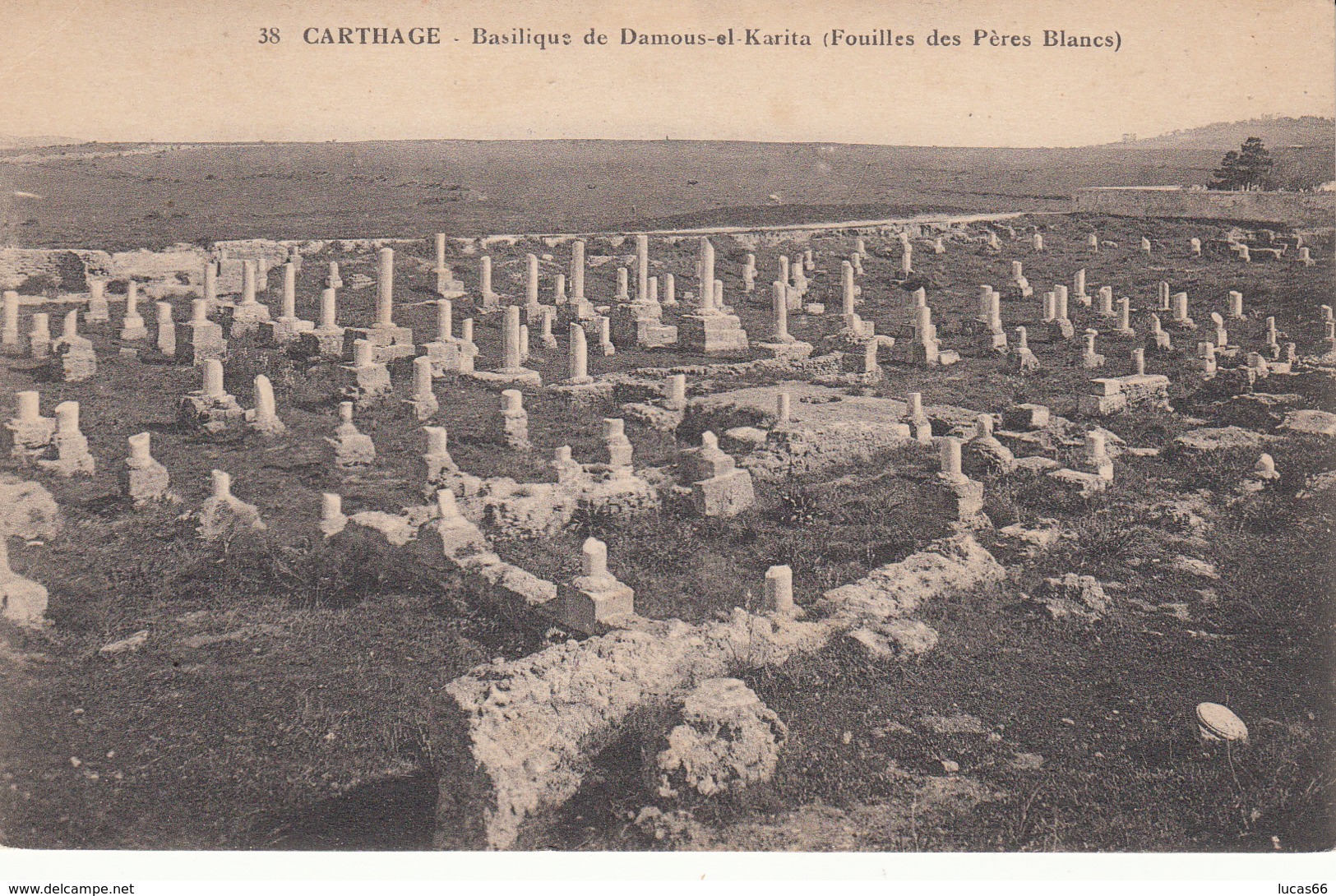 Carthage - Basilique De Damous-el-Karita (Fouilles Des Pères Blancs) - Tunisia