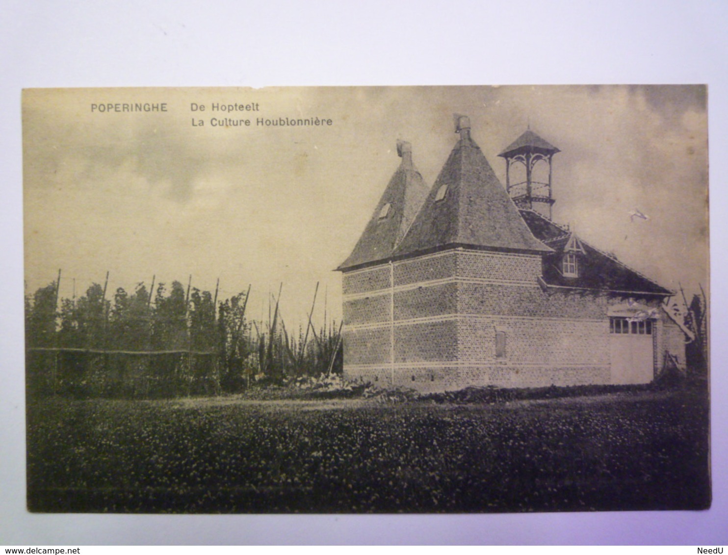 GP 2019 - 975  POPERINGHE  :  La Culture Houblonnière   1918     XXX - Poperinge
