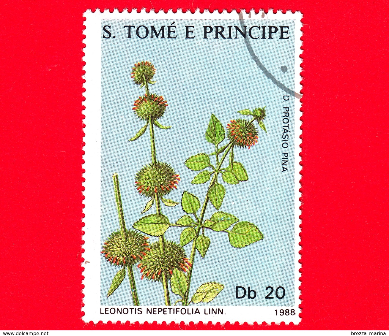 S. TOME' E PRINCIPE - 1988 - Piante Medicinali - Leonotis Nepetifolia - 20 - Sao Tomé E Principe