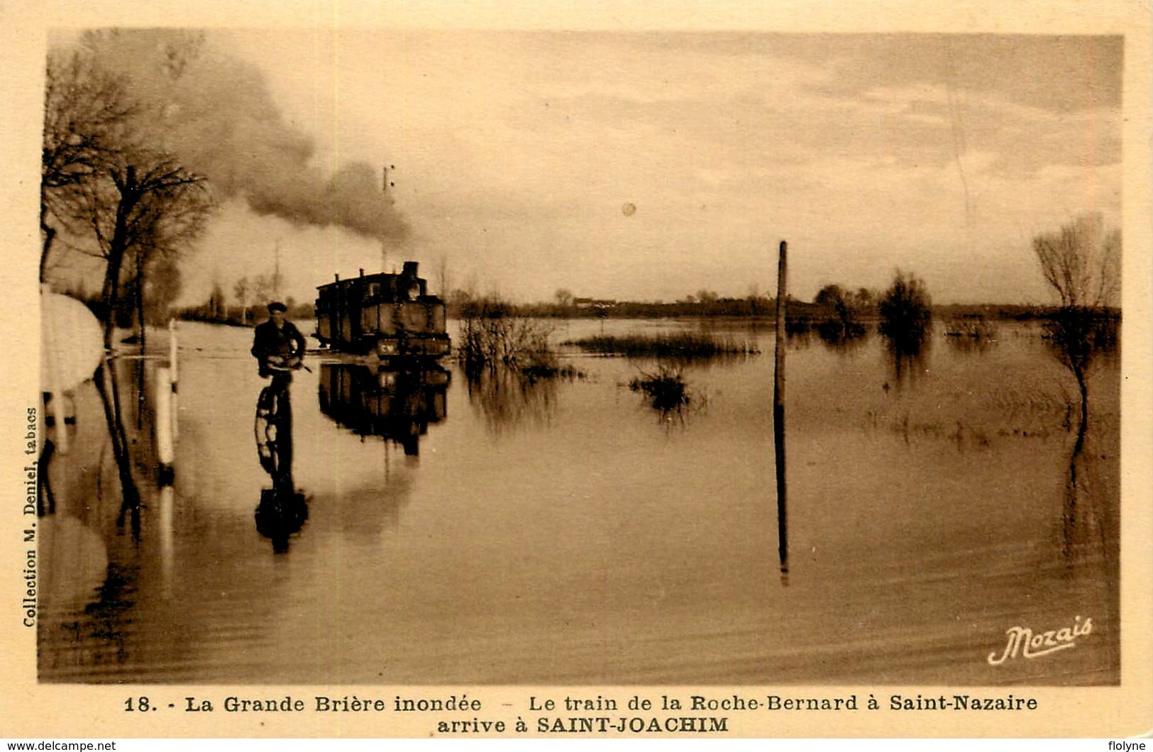 La Grande Brière Inondée - Le Train De La Roche Bernard à St Nazaire Arrivée à St Joachim - Ligne Chemin De Fer - Saint-Joachim