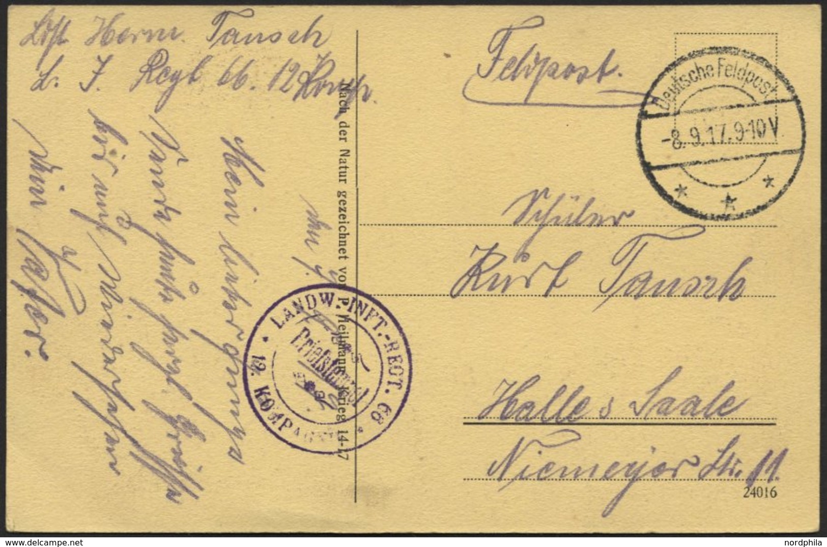 DT. FP IM BALTIKUM 1914/18 23. Landwehr-Division, 8.9.17, Mit Tarnstempel DEUTSCHE FELDPOST *** Auf Ansichtskarte (Nach  - Latvia