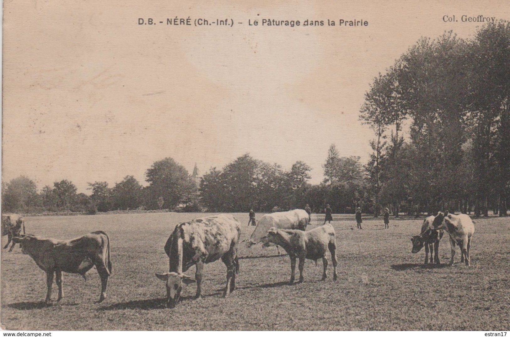 17 NERE LE PATURAGE DANS LA PRAIRIE - Sonstige & Ohne Zuordnung