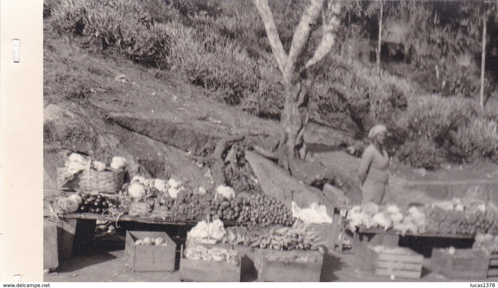 TRES BELLE PHOTO / ENVIRONS DE RIO / MARCHANDE DE LEGUMES / ANNEES 60 / 13X9 - Copacabana