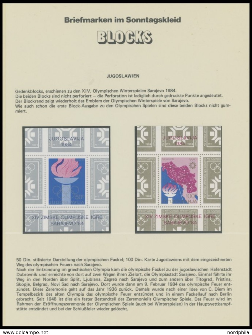 SLG. ALLE WELT **, 1983/4, Partie über 60 Verschiedener Postfrischer Blocks Und Kleinbogen Europa Und Etwas DDR, Prachte - Andere & Zonder Classificatie