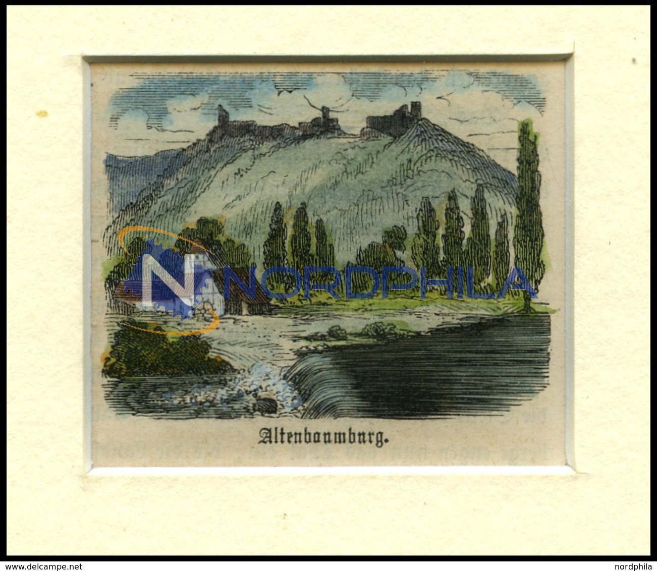 ALTENBAMBERG, Teilansicht Mit Burgruine, Kolorierter Holzstich Um 1880 - Litografia