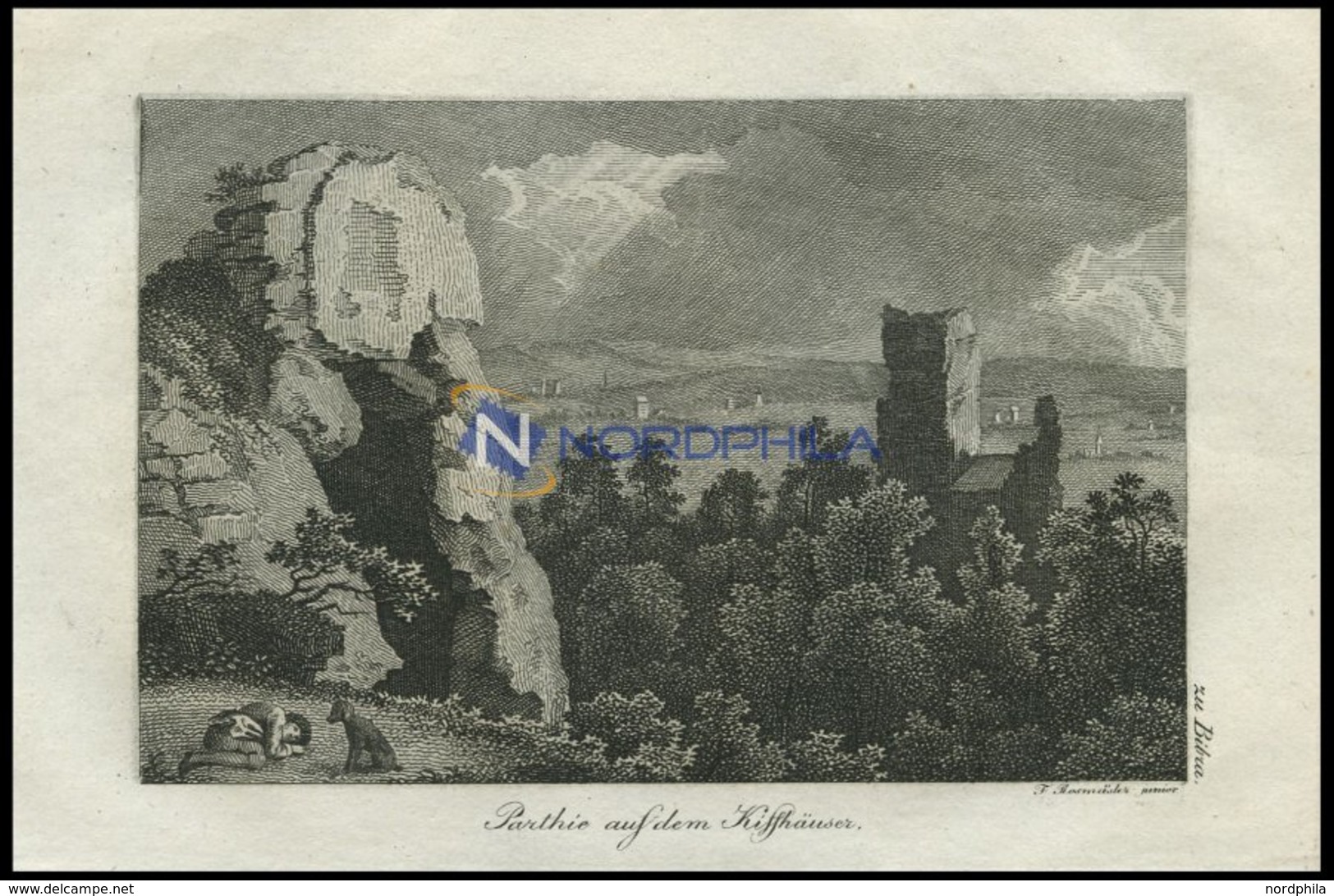 BIBRA/Sachsen: Parthie Auf Dem Kiffhäuser, Impression Des Berges Mit Wanderer Und Hund, Kupferstich Von F. Rosmäsler Jun - Lithographies