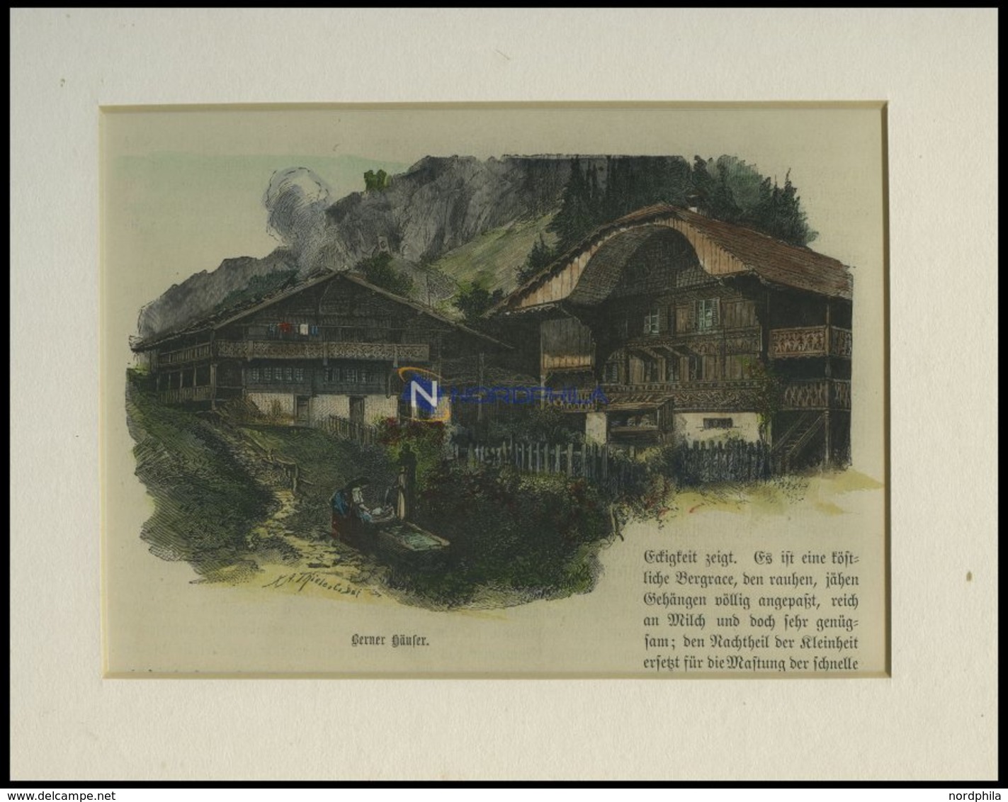 Berner Bauernhäuser, Kolorierter Holzstich Um 1880 - Lithographien