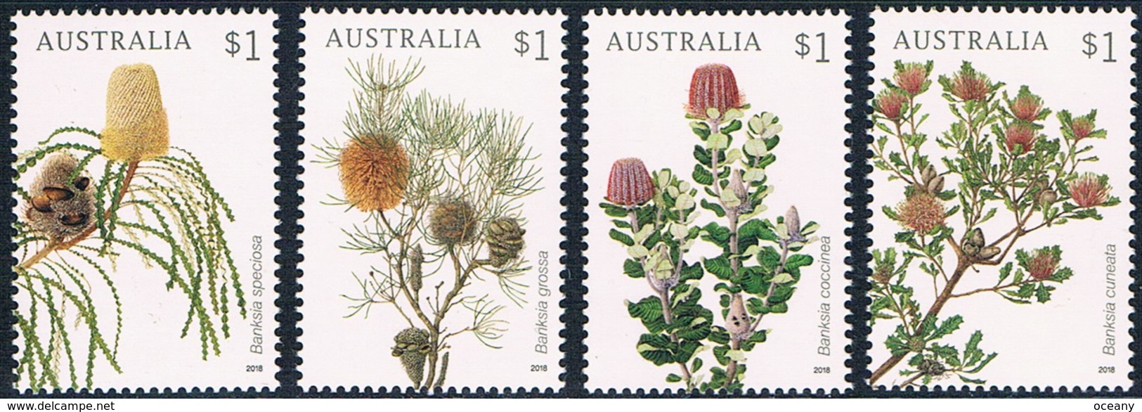 Australie - Fleurs : Banksias 4566/4569 (année 2018) ** - Neufs