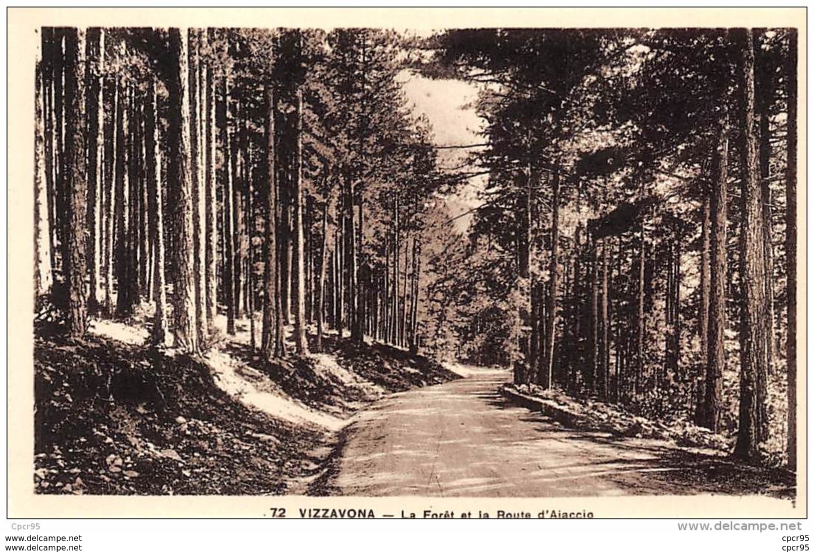 20. N° 44341 . Vizzavona . La Foret - Autres & Non Classés