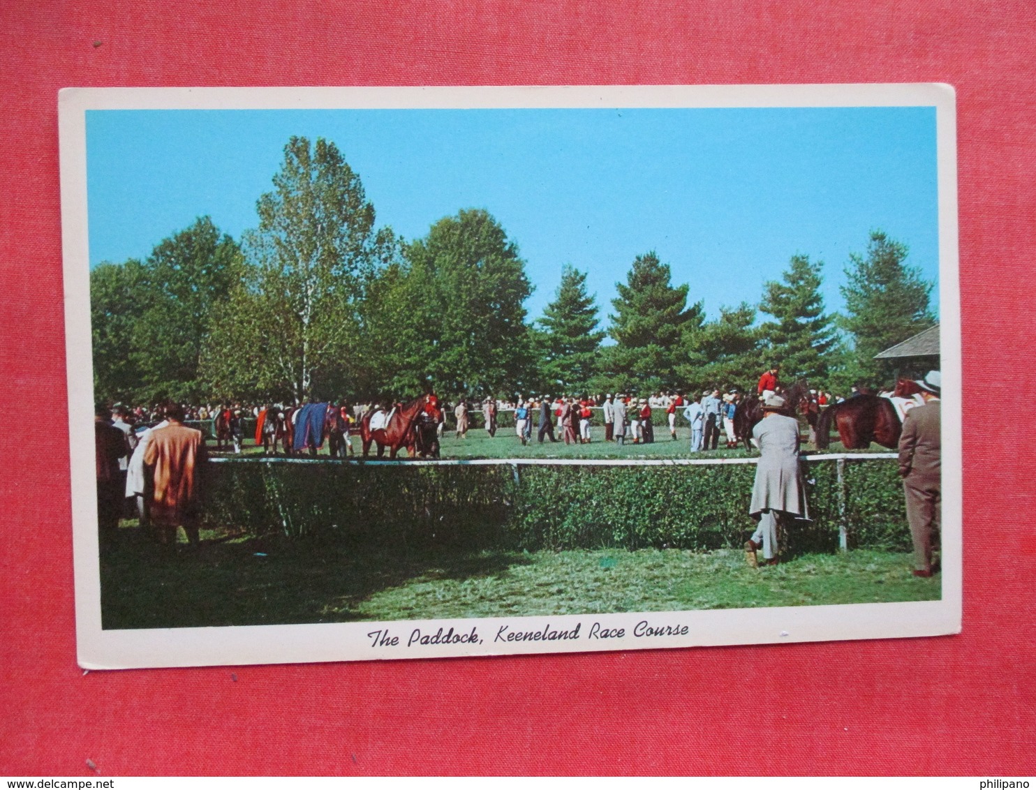 Paddock Keeneland Race Course  Kentucky > Lexington  -ref 3303 - Lexington