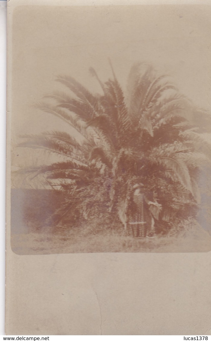 83 / TRES BELLE CARTE PHOTO / DEPART PORQUROLLES 1911 - Porquerolles