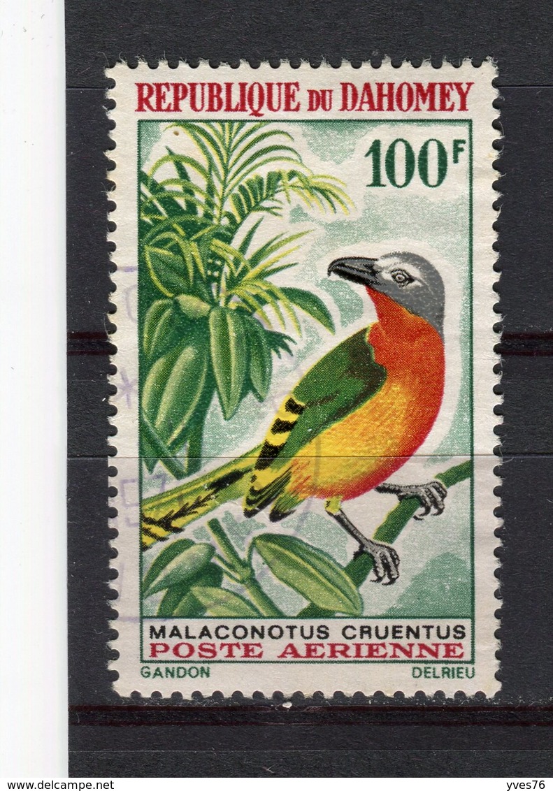 DAHOMEY - Y&T Poste Aérienne N° 38° - Oiseau - Gladiateur à Poitrine Rouge - Bénin – Dahomey (1960-...)