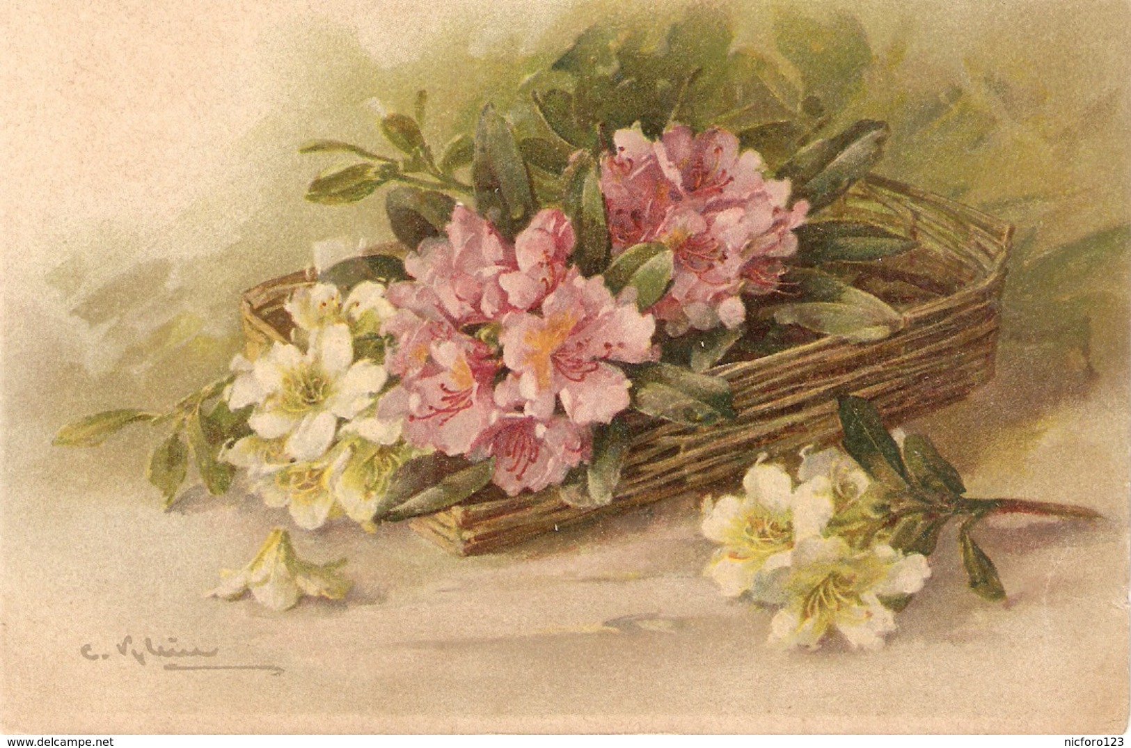 "Catherina Klein. Beautiful Flowers In A Basket" Nice Antique German Postcard - Klein, Catharina