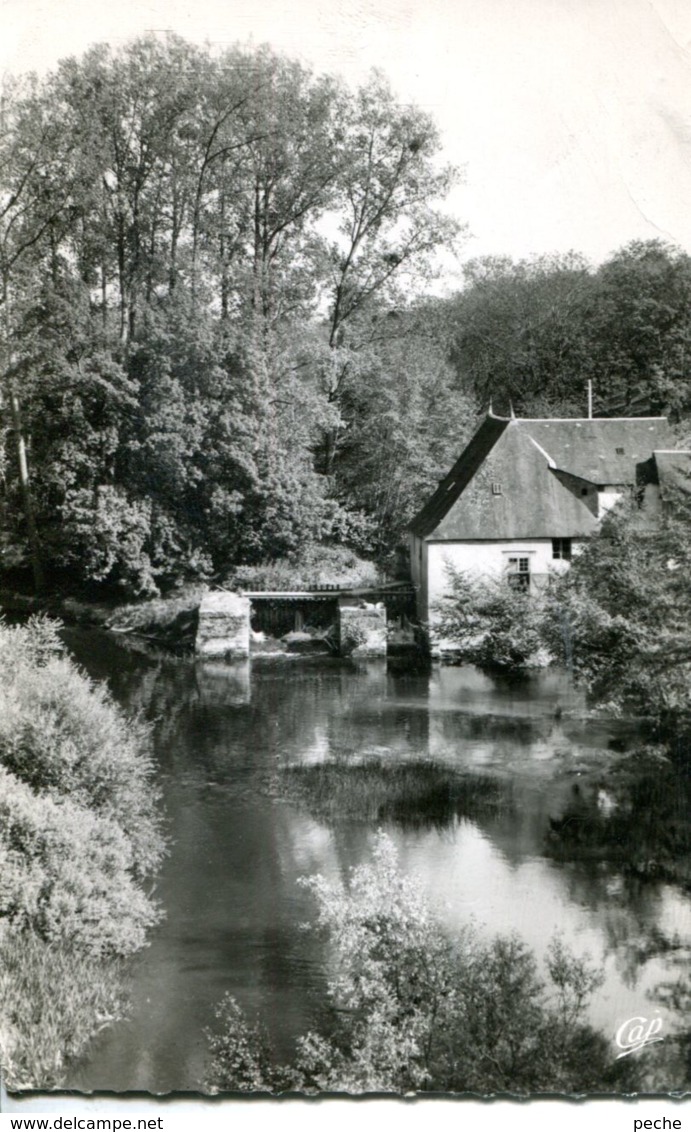 N°72381 -cpsm La Roche Posay -l'ancien Moulin Et La Creuse- - Water Mills