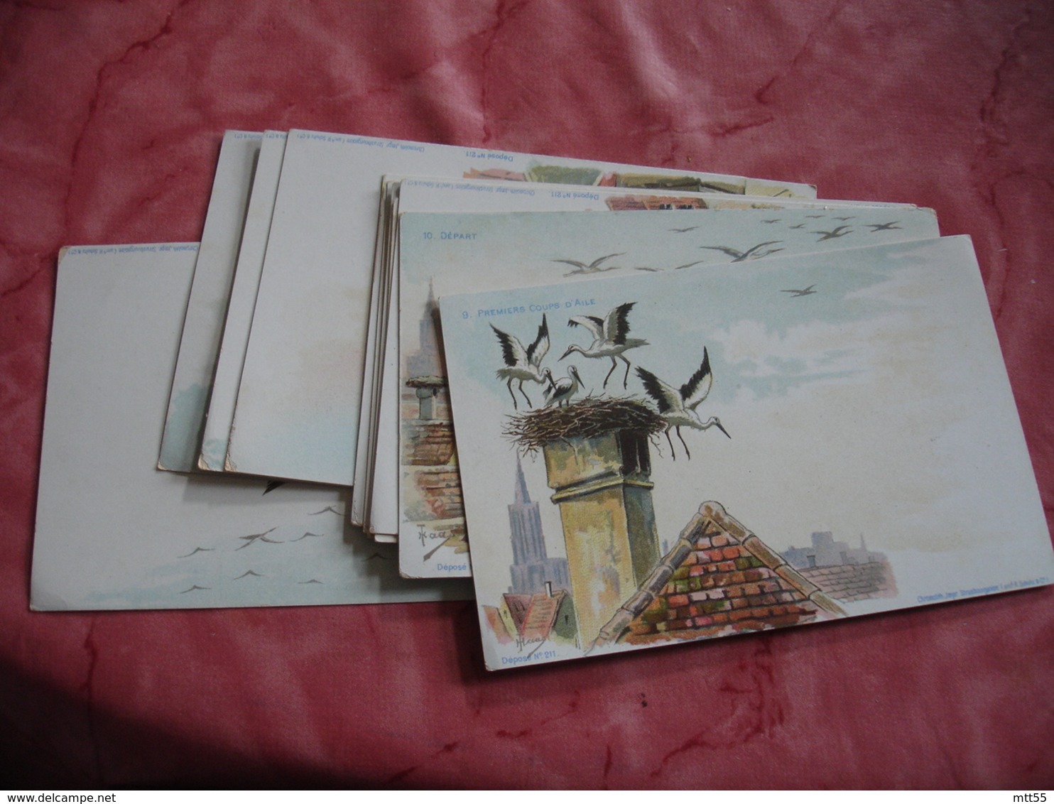 Serie 10 Cartes Edi A Strasbourg Illustrateur Cigogne Arrivee Construction Nid Depart - Expositions