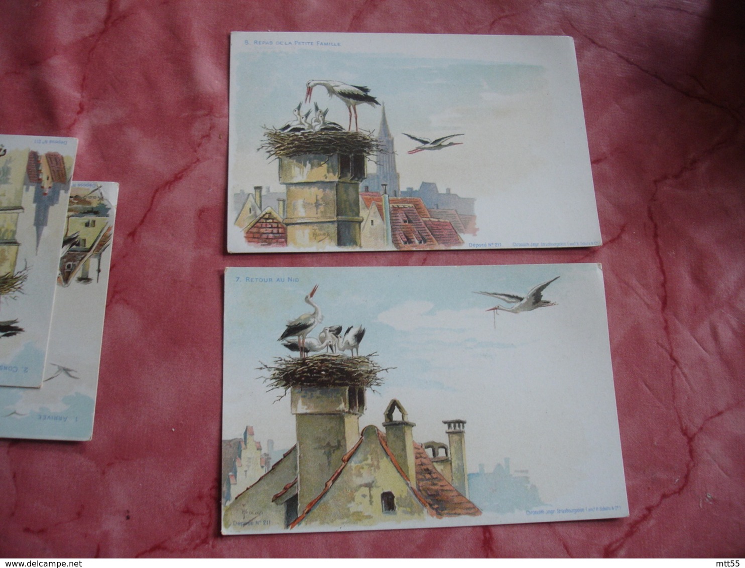 Serie 10 Cartes Edi A Strasbourg Illustrateur Cigogne Arrivee Construction Nid Depart - Expositions