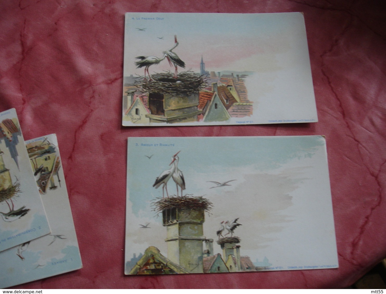 Serie 10 Cartes Edi A Strasbourg Illustrateur Cigogne Arrivee Construction Nid Depart - Expositions