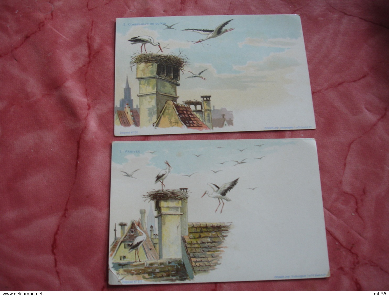 Serie 10 Cartes Edi A Strasbourg Illustrateur Cigogne Arrivee Construction Nid Depart - Expositions