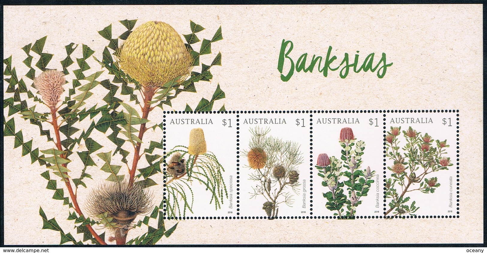 Australie - Fleurs : Banksias BF 247 (année 2018) ** - Blocks & Kleinbögen