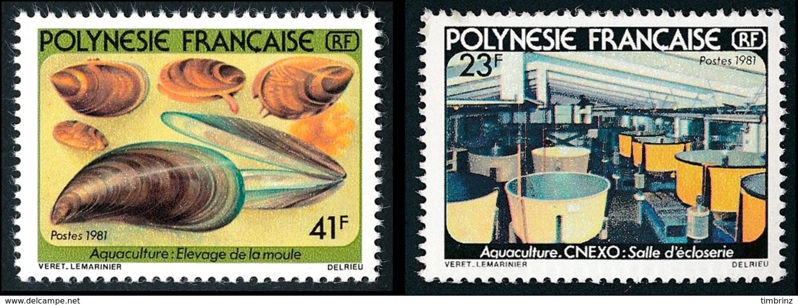 POLYNESIE 1981 - Yv. 163 Et 164 **   Cote= 4,00 EUR - Aquaculture : Moule (2 Val.)  ..Réf.POL23883 - Ungebraucht