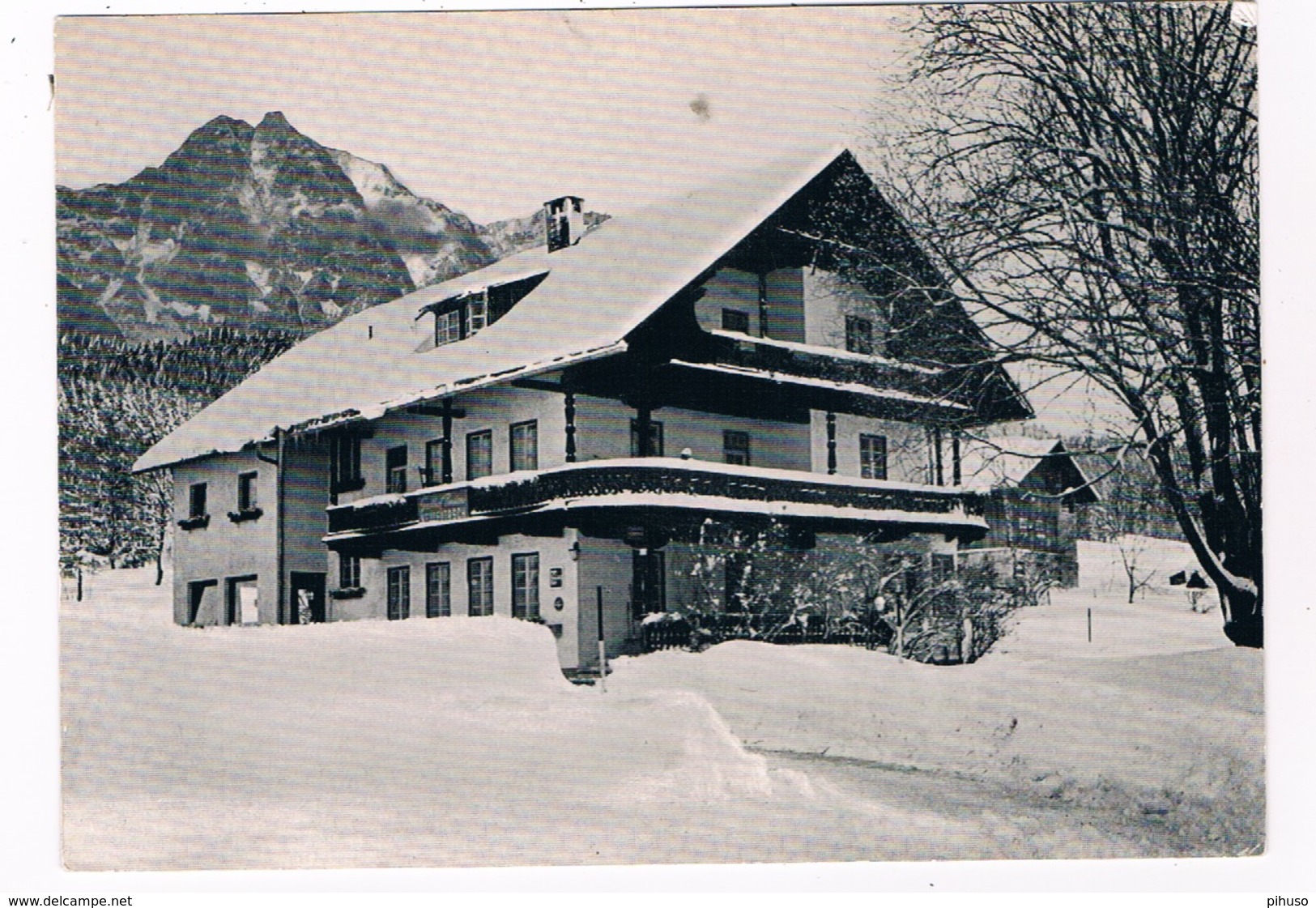 A-3983   SEEFELD : Gasthof Und Pension Neu-Leutasch - Seefeld