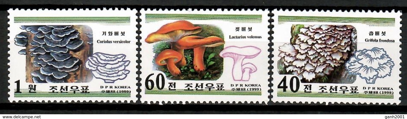 Korea 1999 Corea  / Mushrooms MNH Pilze Setas Champignons / Cu12531  41-7 - Funghi