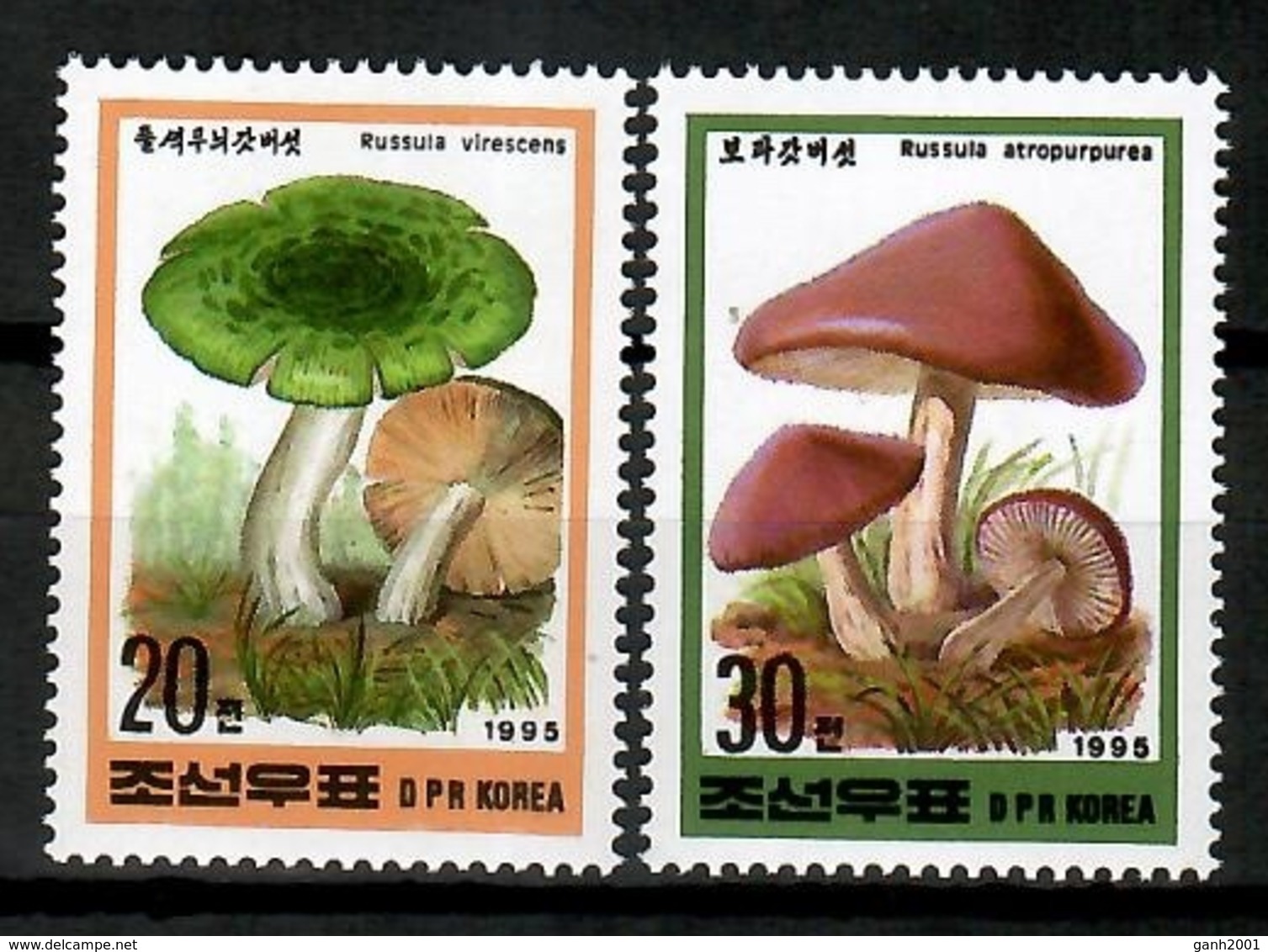 Korea 1995 Corea  / Mushrooms MNH Pilze Setas Champignons / Cu12535  41-9 - Hongos