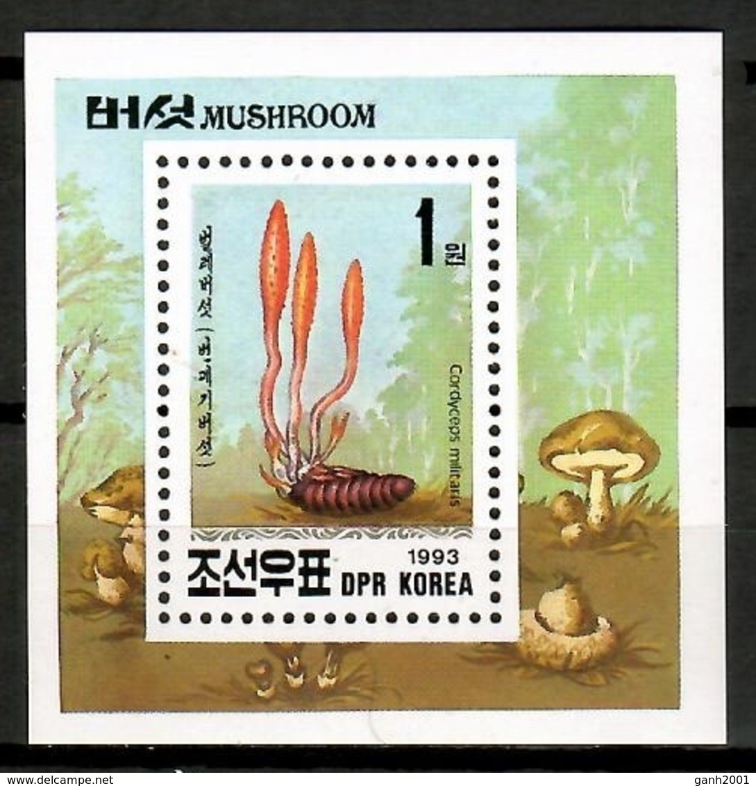 Korea 1993 Corea  / Mushrooms MNH Pilze Setas Champignons / Cu12720  36 - Hongos