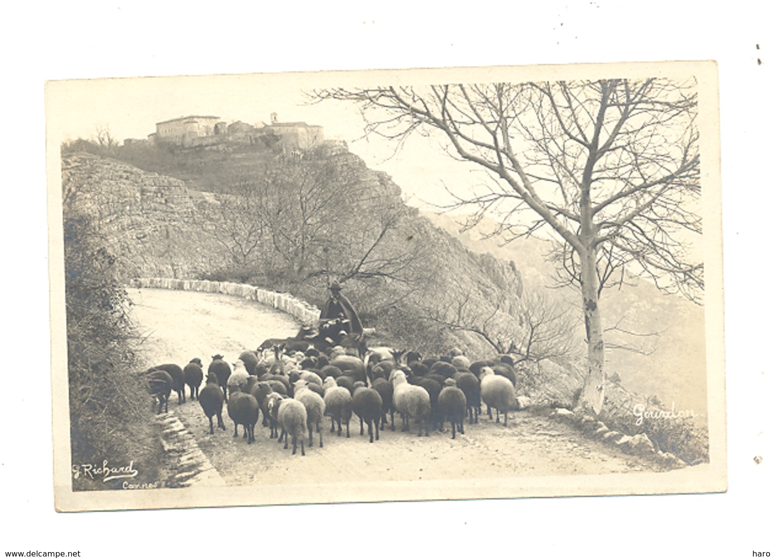 Photo Carte , Environs De Cannes, Alpes De Haute Provence,...??- Troupeau De Moutons Avec Berger  (fr75) - Cannes