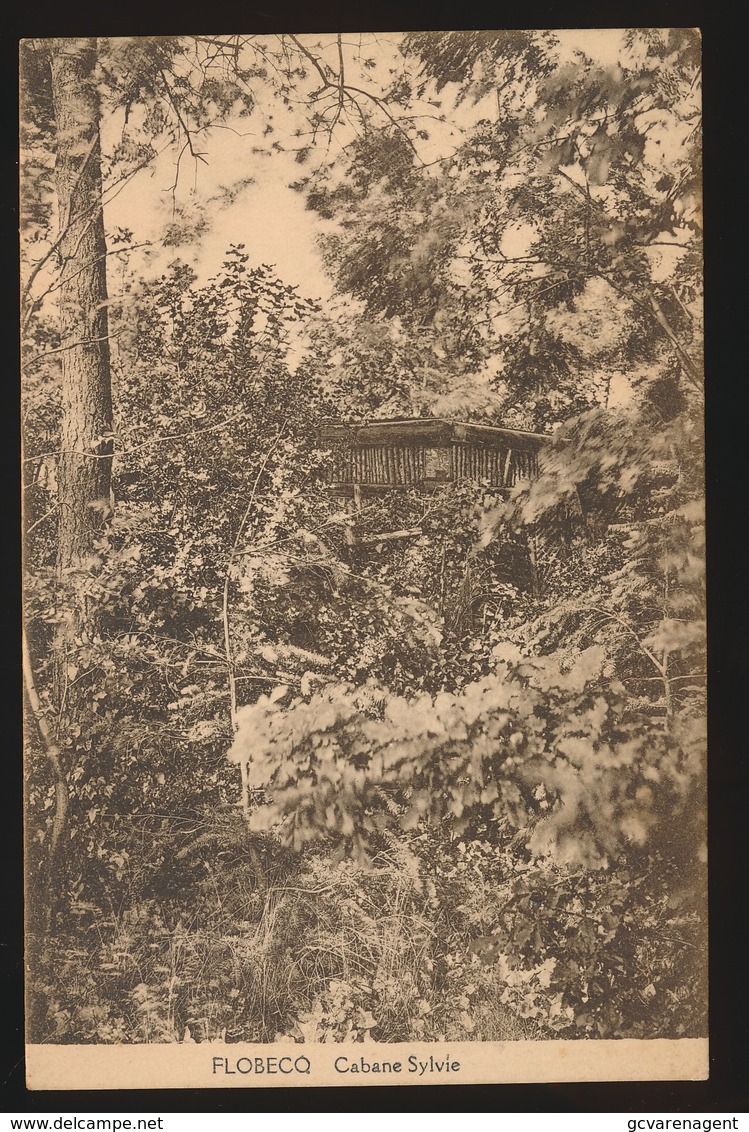 FLOBECQ  CABANE SYLVIE - Vloesberg