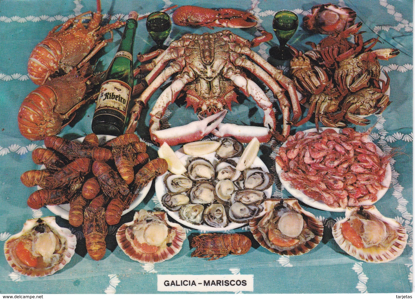 POSTAL DE GALICIA DE LOS MARISCOS GALLEGOS - COQUILLAGES - SHELLS-FISH - Pescados Y Crustáceos