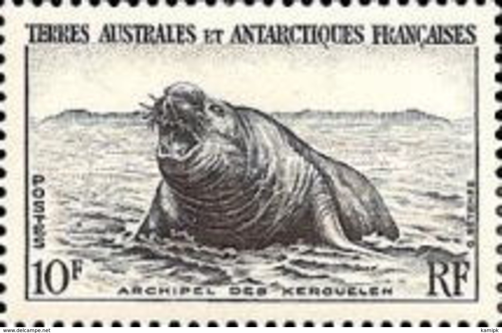 MINT  STAMPS French-South-and-Antarctic-Terr. - Penguins And Seals -  1956 - 1956 F.I.D.E.S.