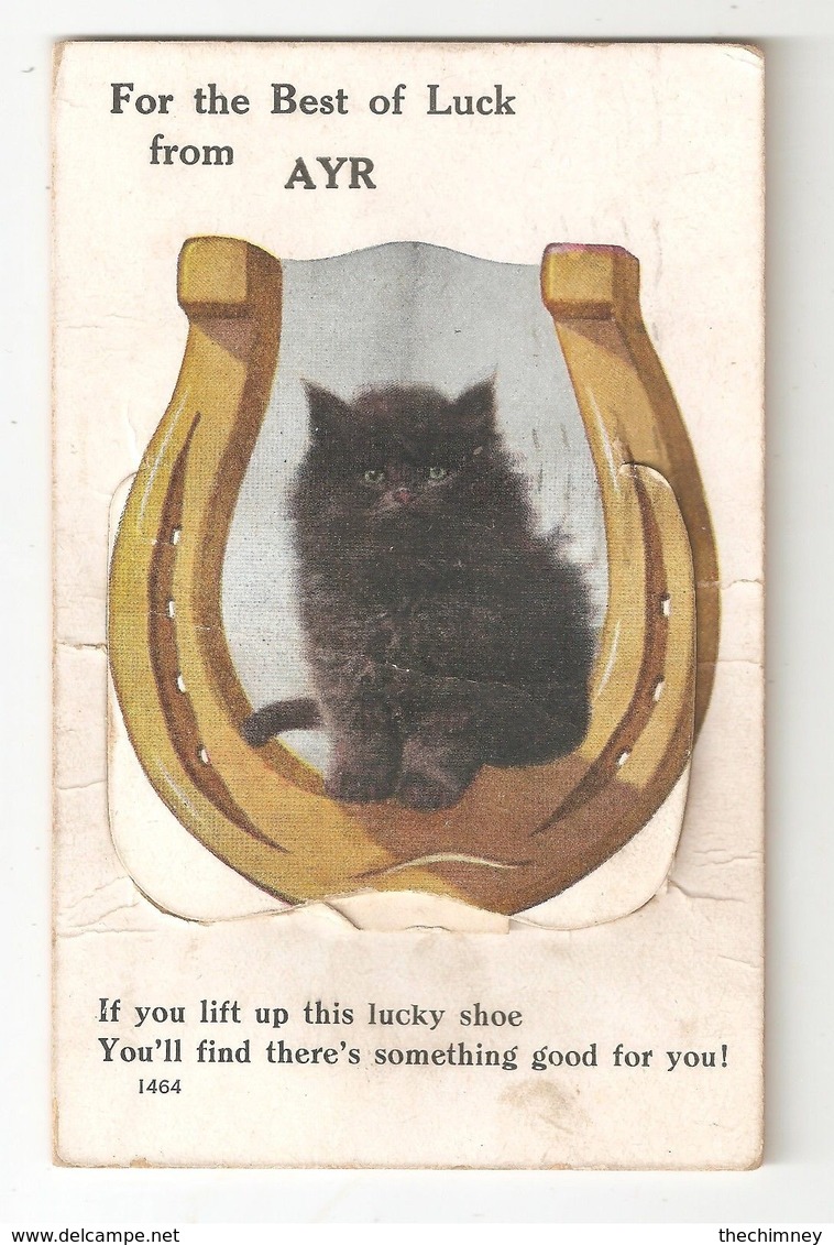 AYR BLACK CAT BEST OF LUCK FROM AYR NOVELTY THE PULL OUT IS OK ALL TEN VIEWS POSTALLY USED - Ayrshire