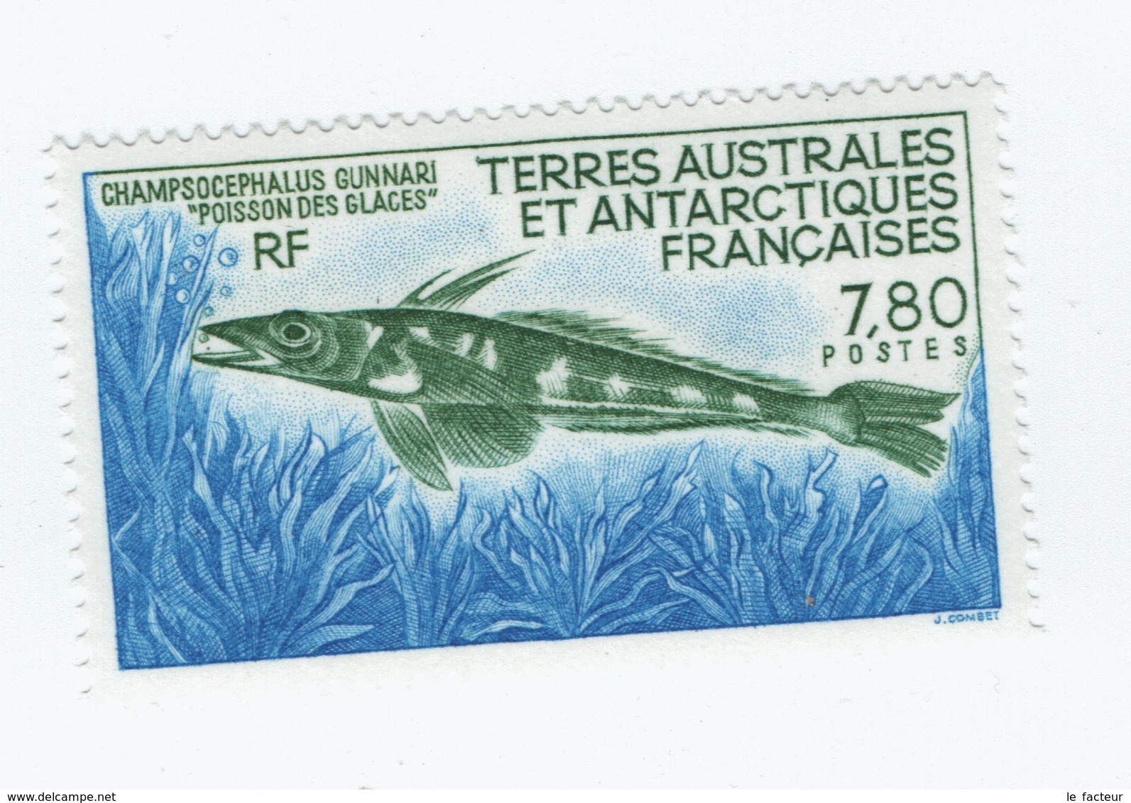 VP8L3 TAAF FSAT Antarctique Neufs°° MNH Poisson Des Glaces Champsocephalus 1991 N°161 - Neufs