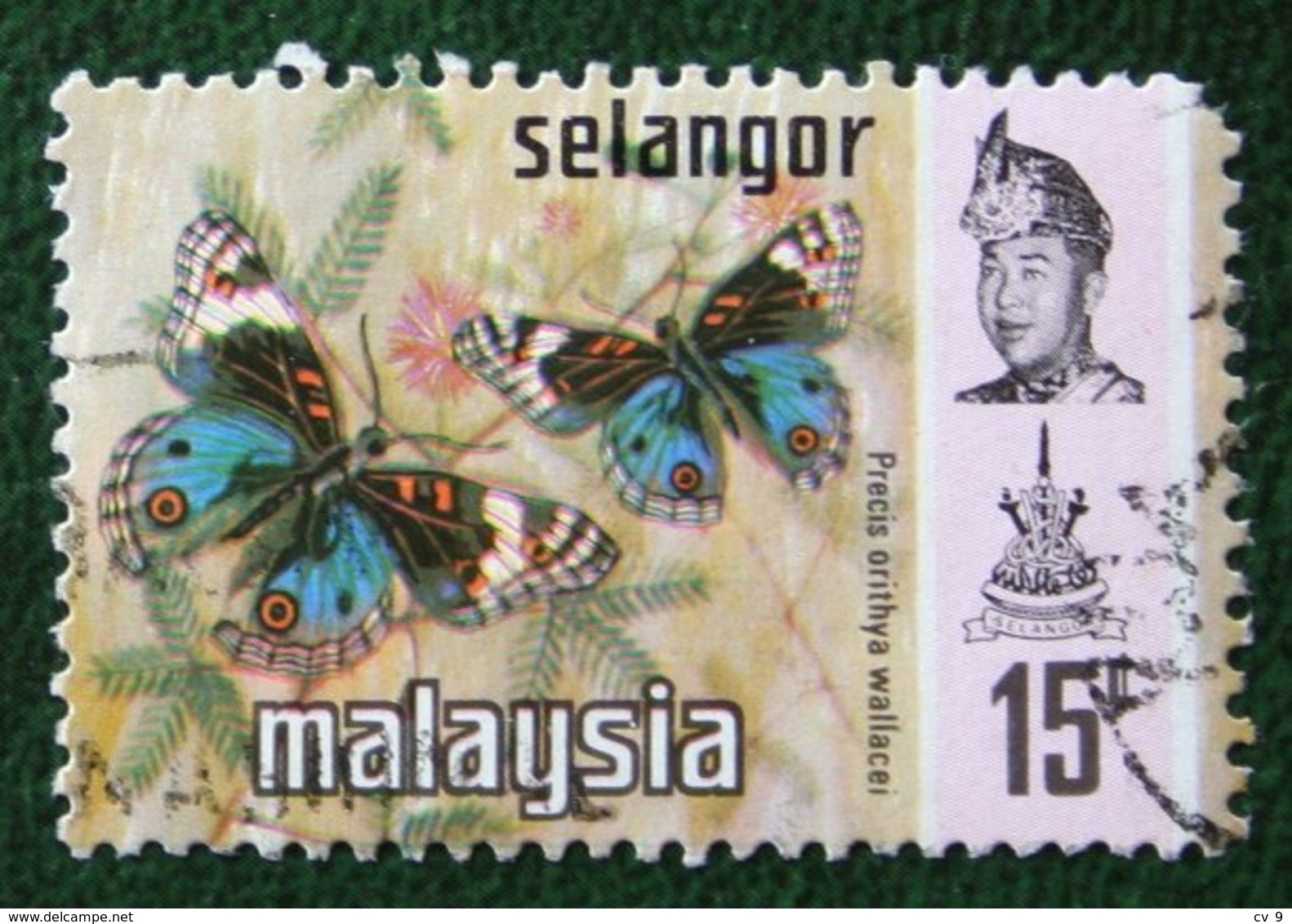 15c Selangor Butterflies Vinder Schmetterling Papillon 1971 Mi 110 YT 98 Used Gebruikt Oblitere MALAISIE MALAYA MALAYSIA - Malaysia (1964-...)
