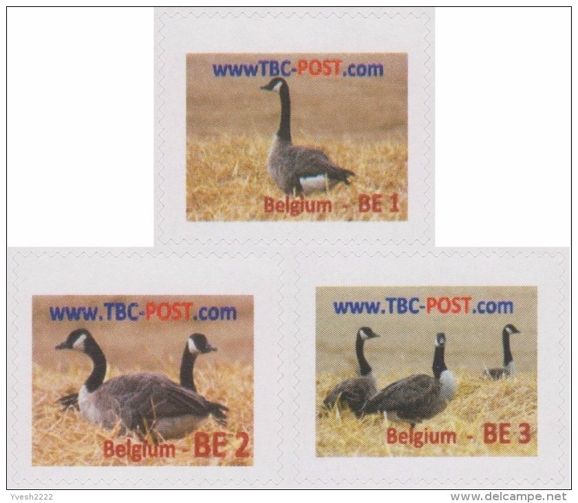 Belgique 2012. Poste Privée TBO. Oies. Tarifs Pour Lettres Pour L'intérieur Jusque 50 G (normalisée), 100 G Et 350 G - Oies