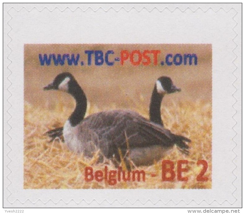 Belgique 2012. Poste Privée TBO. Oies. Tarifs Pour Lettres Pour L'intérieur Jusque 50 G (normalisée), 100 G Et 350 G - Oies