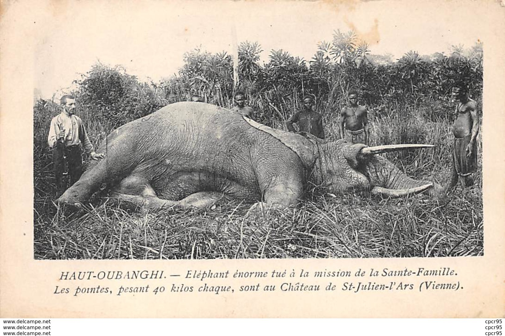 Centrafricaine . N° 51180 . Haut-onbanghi . Elephant Tue.chasse - Centrafricaine (République)