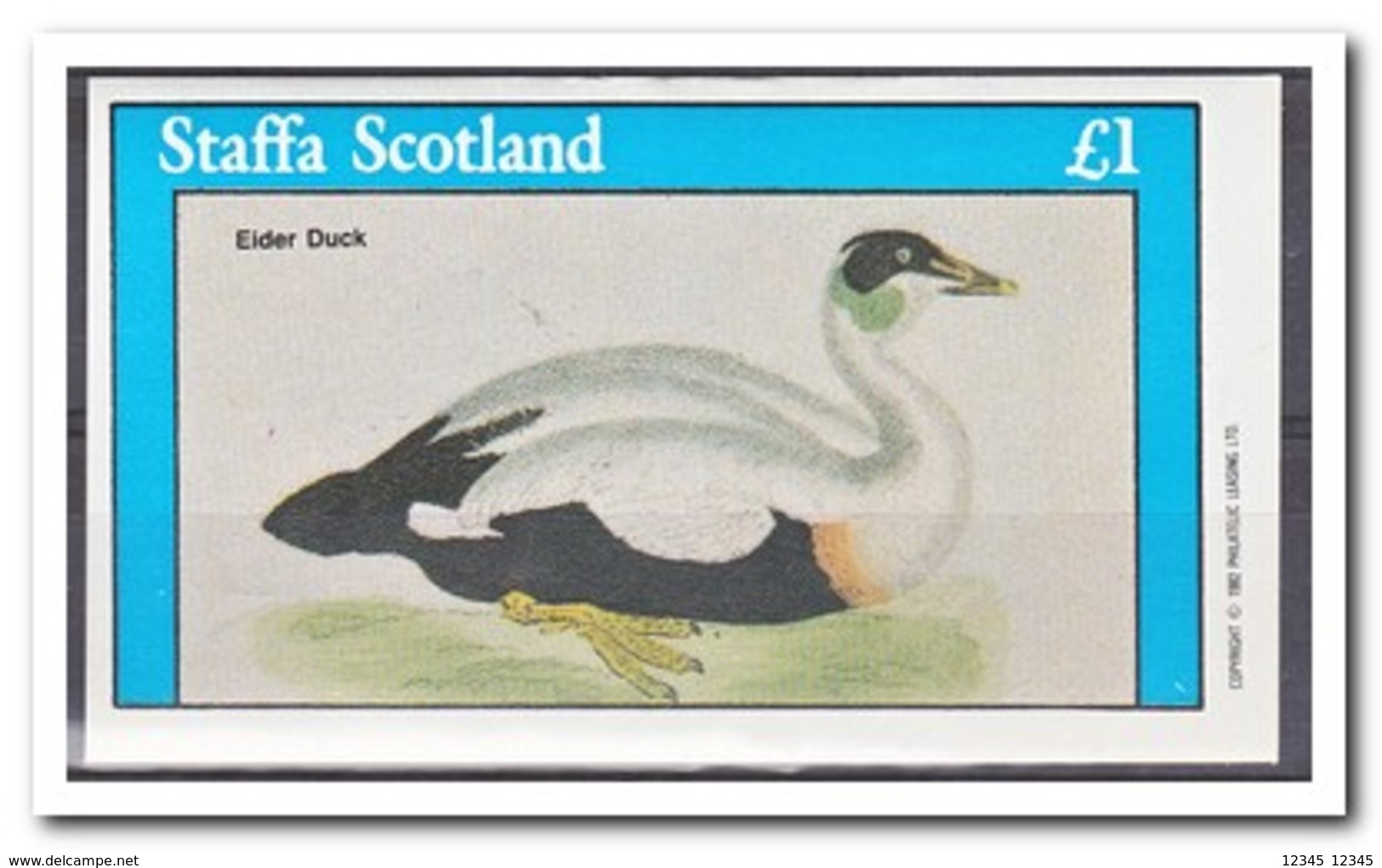 Staffa 1982, Postfris MNH, Birds, Ducks - Escocia