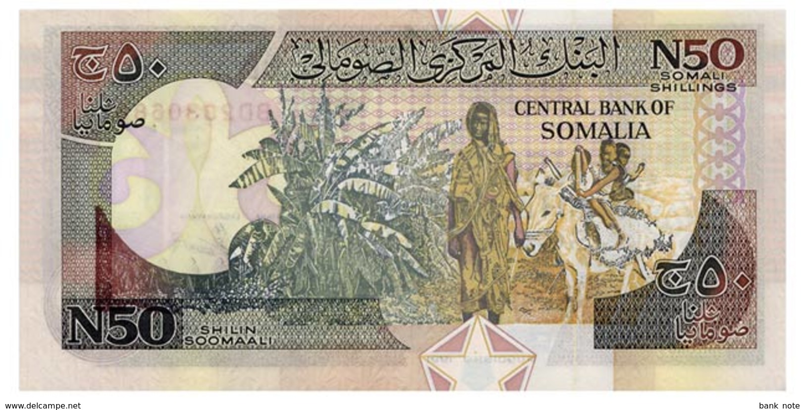 SOMALIA 50 SHILIN 1991 Pick R2 Unc - Somalia